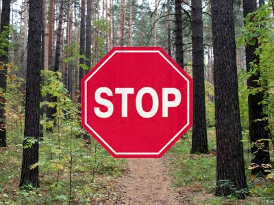 Запрет на посещение леса