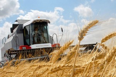 Менее 30% площадей зерновых осталось убрать в Могилевской области