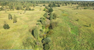 Экологическая реабилитация торфяного месторождения Хачинка в Славгородском районе