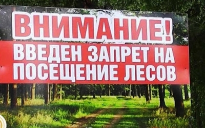 С 13 апреля в районе действует запрет на посещение лесов.