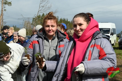 Под аккомпанемент дождя: Славгородчина прихорашивает &laquo;зеленые легкие&raquo;