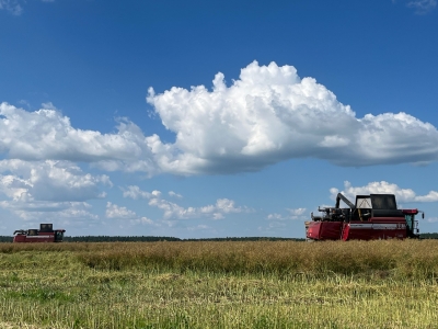 ГЕРОИ ЖАТВЫ