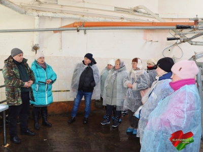 Как повысить показатели в&nbsp;животноводстве? Учимся у&nbsp;профессионалов!