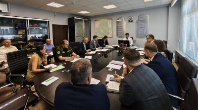 Более 2,5 тыс. га лесных насаждений повредила стихия в Могилевской области