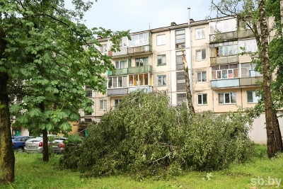 В Могилеве после прохождения грозового фронта работает комиссия по ликвидации последствий ЧС