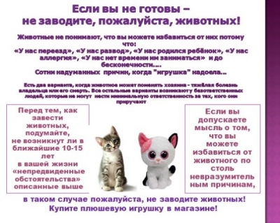 Если вы не готовы - не заводите животных!