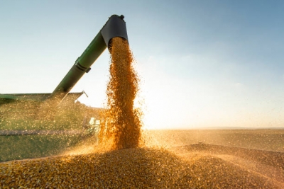В преддверии приемки зерна нового  урожая 2024 года  Госпромнадзор напоминает!