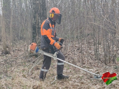 Память в&nbsp;наших руках: почему наведение порядка на&nbsp;кладбище касается каждого?