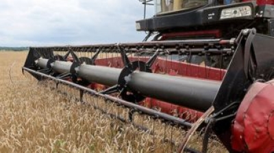 В Могилевской области намолочено 1,344 млн тонн зерна с учетом рапса и кукурузы