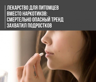 Лекарство для питомцев вместо наркотиков: смертельно опасный тренд захватил подростков