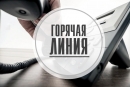 Тематическая горячая линия