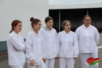 Летняя практика школьников: ответственность, безопасность и новые навыки