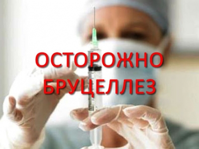 ВНИМАНИЕ! Бруцеллёз