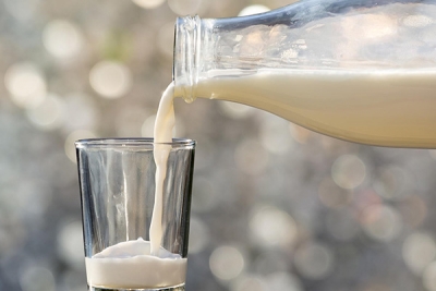 В Беларуси производство молока за пять лет выросло на 11%