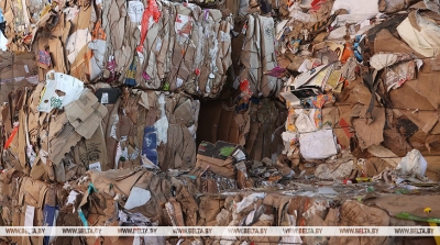 В Беларуси введено лицензирование вывоза регенерируемых бумаги или картона