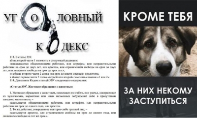 Кроме тебя за них некому заступиться