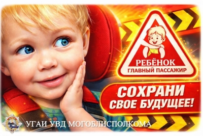 С&nbsp;6&nbsp;по&nbsp;10&nbsp;февраля Госавтоинспекция проводит профилактическую акцию по&nbsp;предупреждению детского дорожно-транспортного травматизма &laquo;Ребенок&nbsp;&amp;mdash; главный пассажир!&raquo;